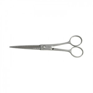 Feather___Switch_4dc86885e5a86